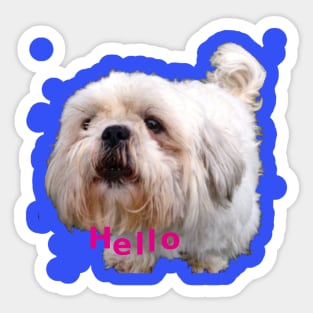 Say Hello! Sticker